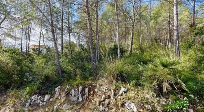 Terreno de 878 m² en Olivella (08818)