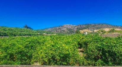 Land of 6,372 m² in Adsubia (03786)