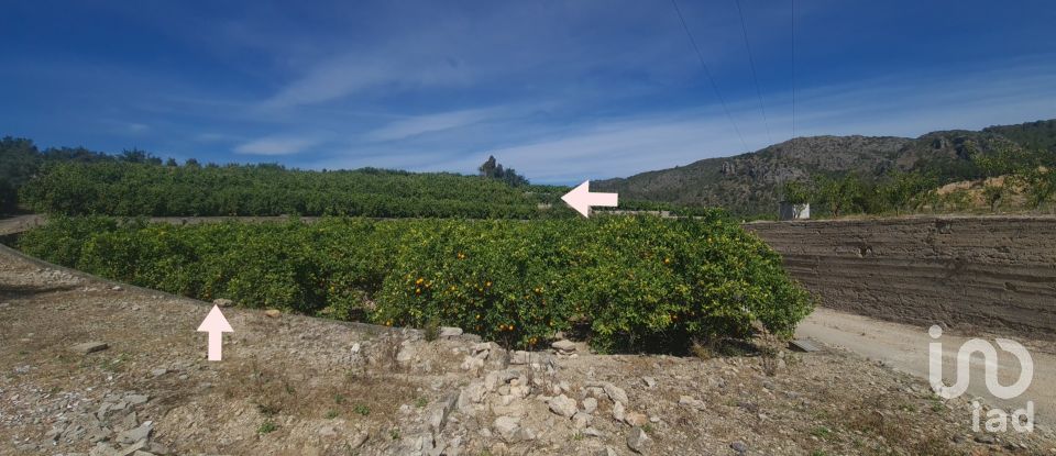 Land of 6,372 m² in Adsubia (03786)