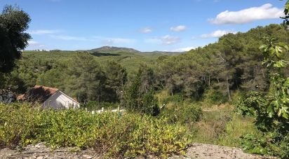 Terreno de 878 m² en Sant Pere de Ribes (08810)