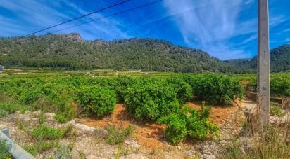 Land of 2,363 m² in Adsubia (03786)