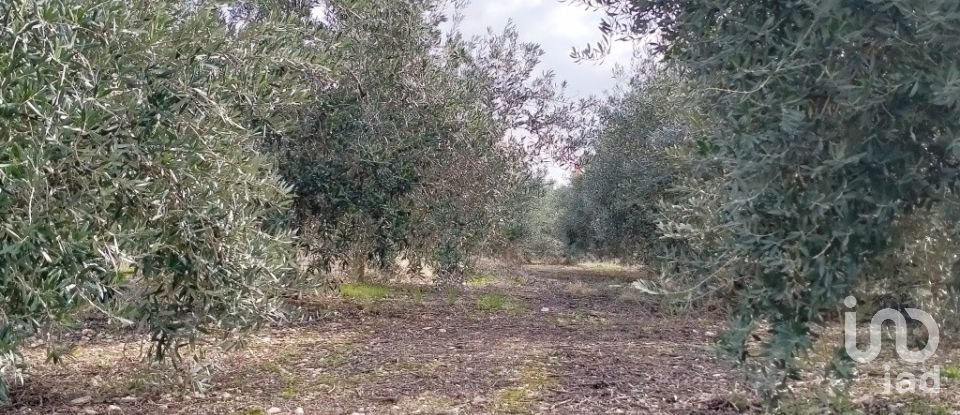 Land of 392 m² in Pego (03780)