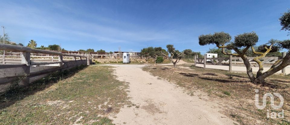 Terrain de 14 700 m² à Tarragona (43005)