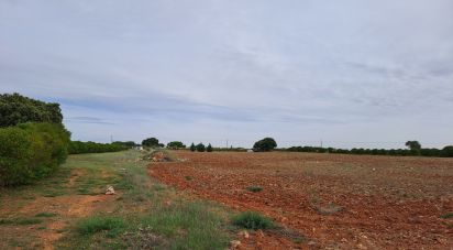 Land of 18,902 m² in Corpa (28811)