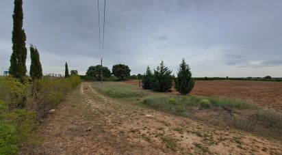 Land of 18,902 m² in Corpa (28811)