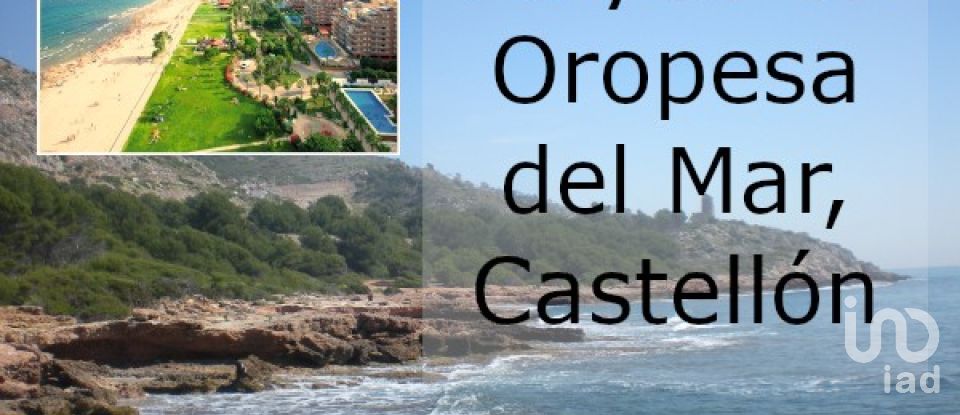 Piso 2 habitaciones de 62 m² en Oropesa/Oropesa del Mar (12594)