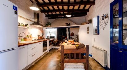 Maison 4 chambres de 270 m² à Sant Pere de Ribes (08810)