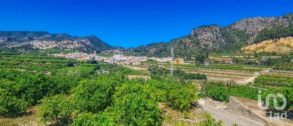 Land of 10,250 m² in Pego (03780)