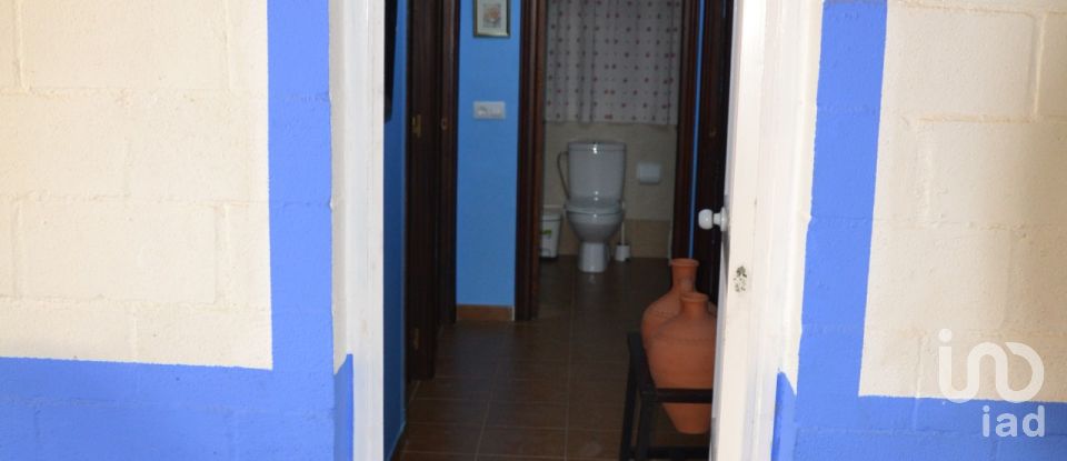 Maison de campagne 4 chambres de 138 m² à Carmona (41410)