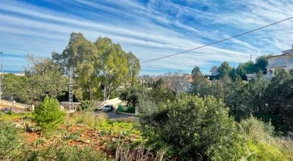 Land of 800 m² in Dénia (03700)