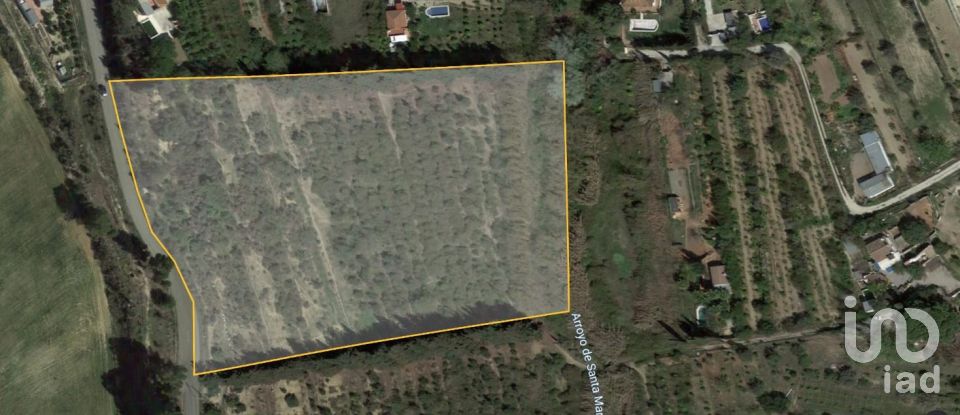 Terrain de 21 000 m² à Cártama (29570)