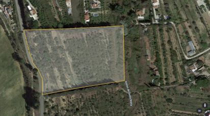 Terreno de 21.000 m² en Cártama (29570)