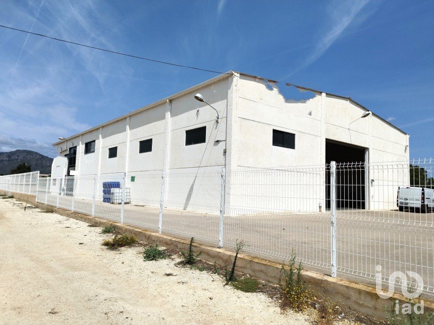 Terreno de 10.000 m² en Roquetes (43520)