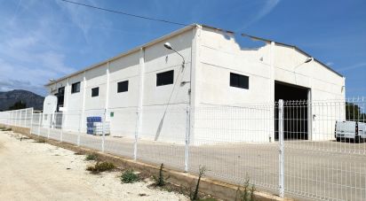 Terreno de 10.000 m² en Roquetes (43520)