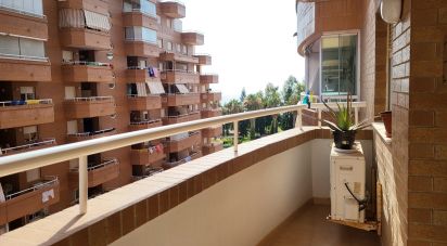 Apartment 2 bedrooms of 54 m² in Oropesa/Oropesa del Mar (12594)