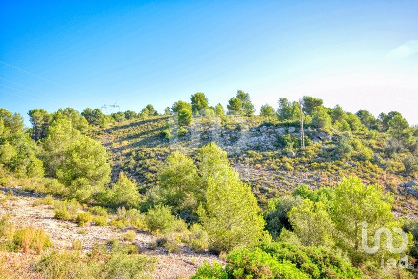 Terreno de 201.046 m² en L'Alcudia de Crespins (46690)