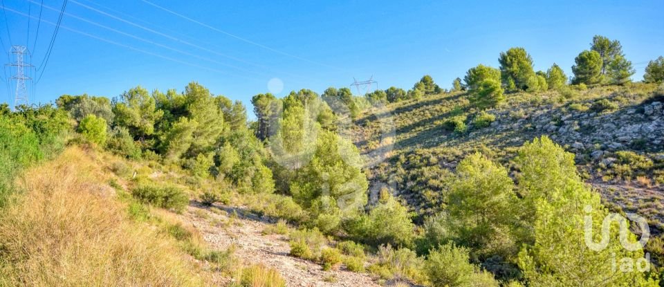 Terreno de 201.046 m² en L'Alcudia de Crespins (46690)