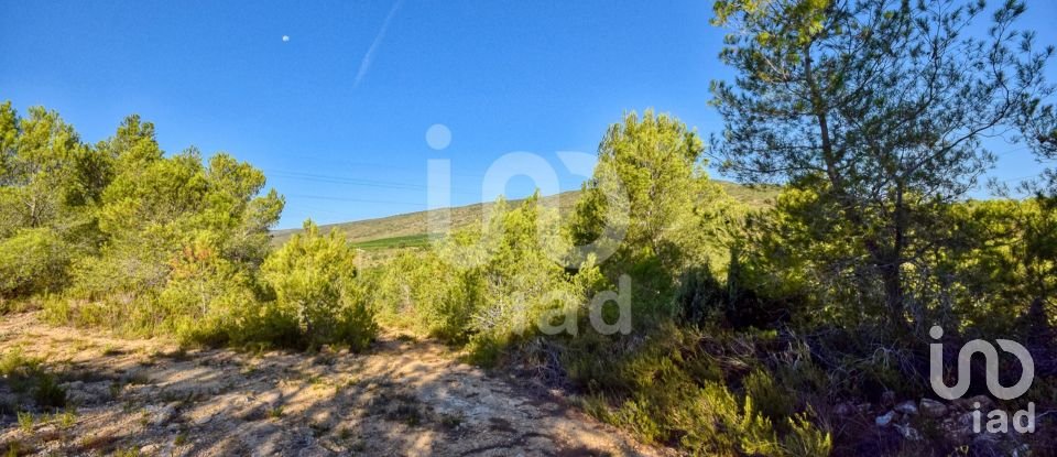 Terreno de 201.046 m² en L'Alcudia de Crespins (46690)