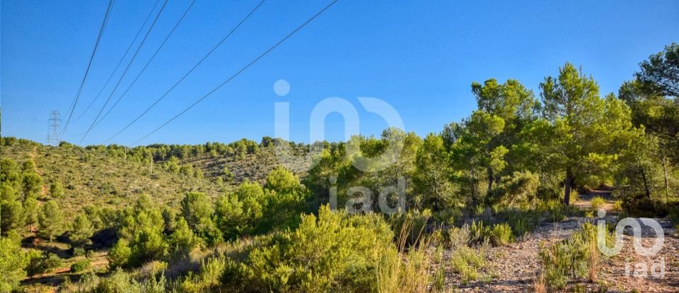 Terreno de 201.046 m² en L'Alcudia de Crespins (46690)