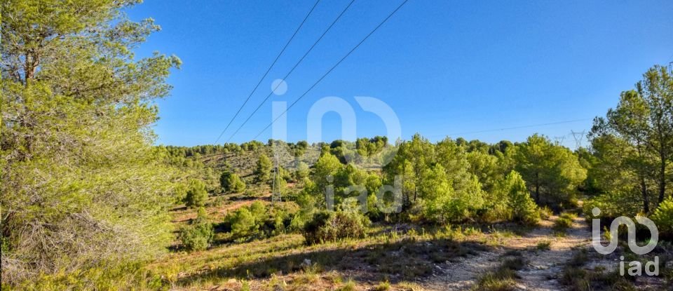 Terreno de 201.046 m² en L'Alcudia de Crespins (46690)