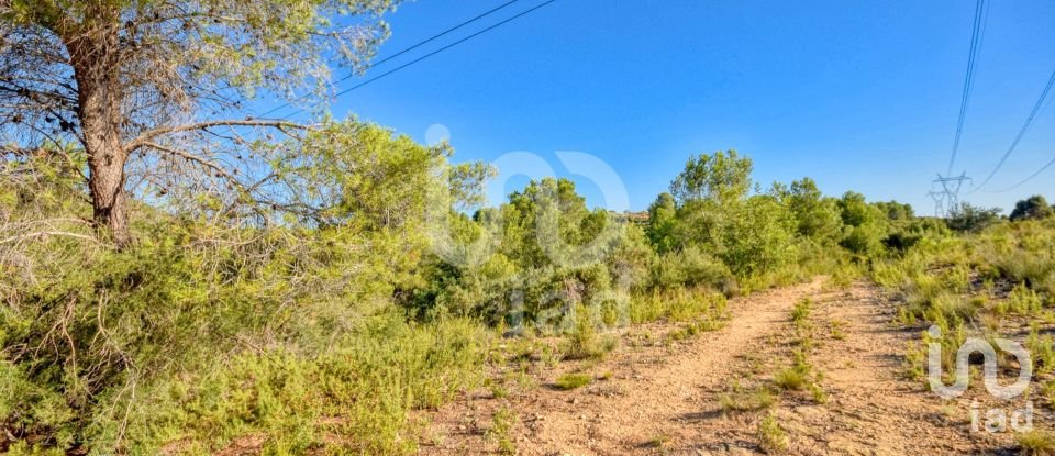 Terreno de 201.046 m² en L'Alcudia de Crespins (46690)