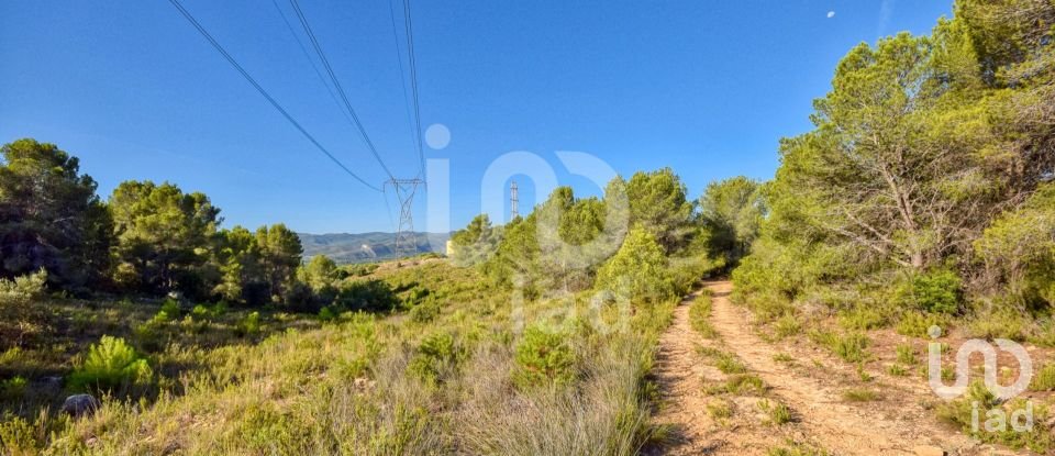 Terreno de 201.046 m² en L'Alcudia de Crespins (46690)