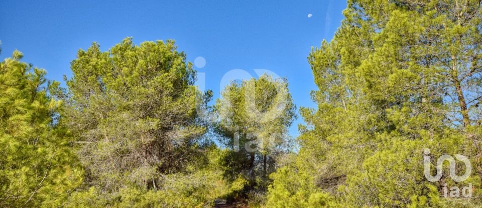 Terreno de 201.046 m² en L'Alcudia de Crespins (46690)