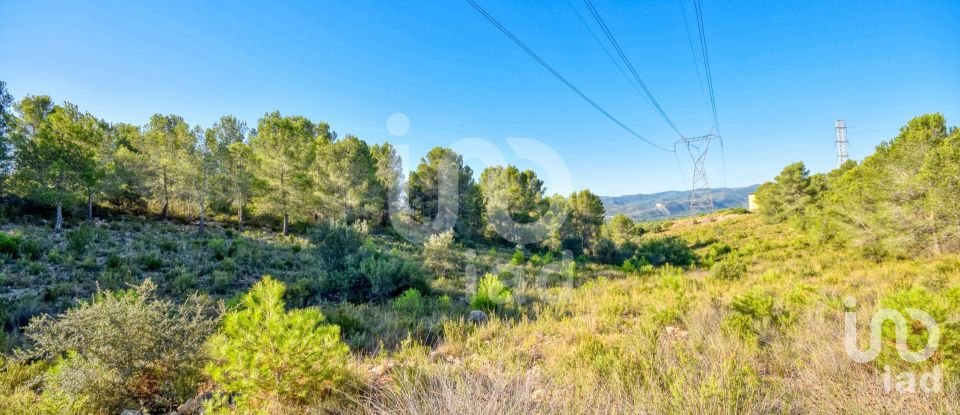 Terreno de 201.046 m² en L'Alcudia de Crespins (46690)