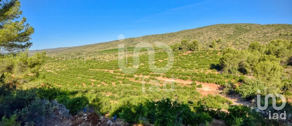 Terreno de 201.046 m² en L'Alcudia de Crespins (46690)