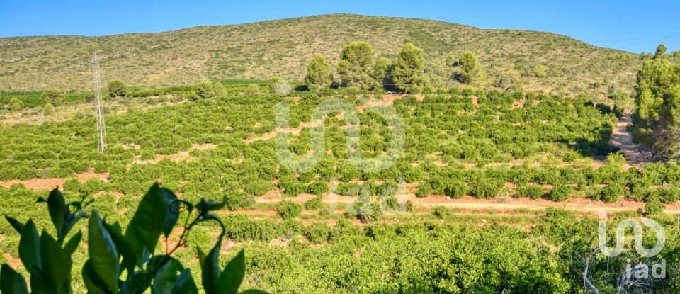 Terreno de 201.046 m² en L'Alcudia de Crespins (46690)