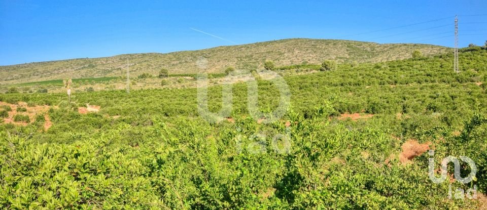 Terreno de 201.046 m² en L'Alcudia de Crespins (46690)