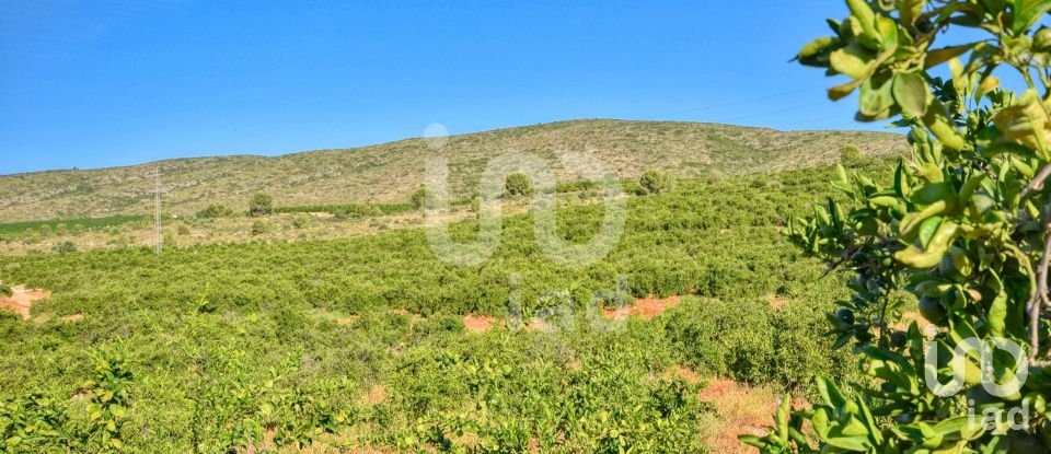 Land of 201,046 m² in L'Alcudia de Crespins (46690)