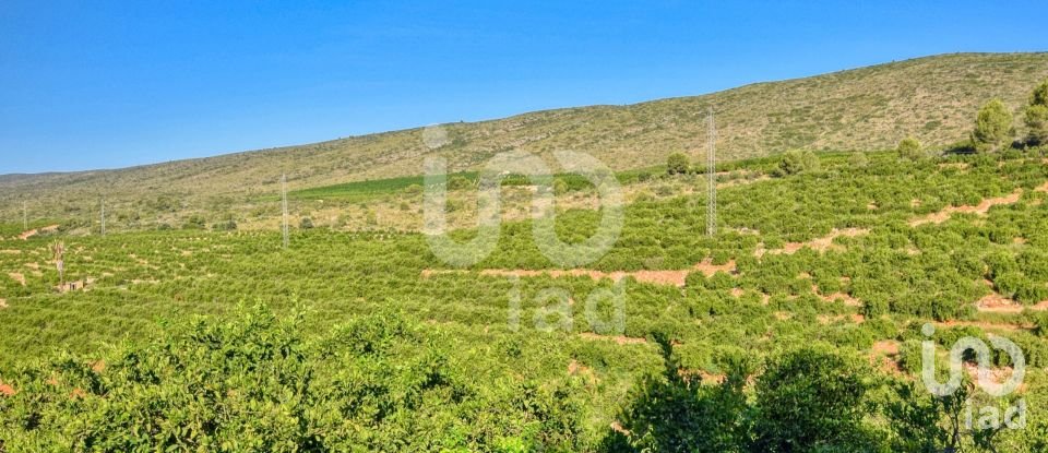 Terreno de 201.046 m² en L'Alcudia de Crespins (46690)