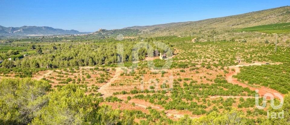 Terreno de 201.046 m² en L'Alcudia de Crespins (46690)