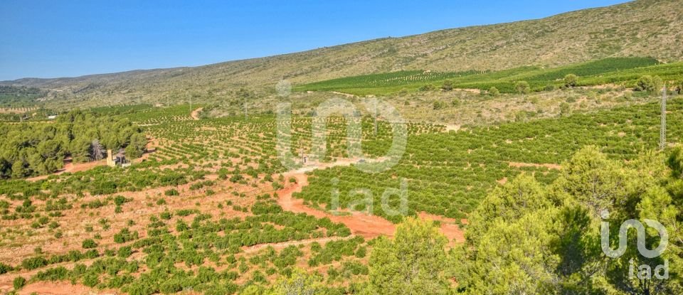 Terreno de 201.046 m² en L'Alcudia de Crespins (46690)