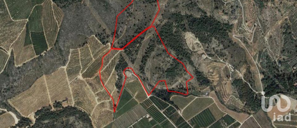 Terreno de 201.046 m² en L'Alcudia de Crespins (46690)