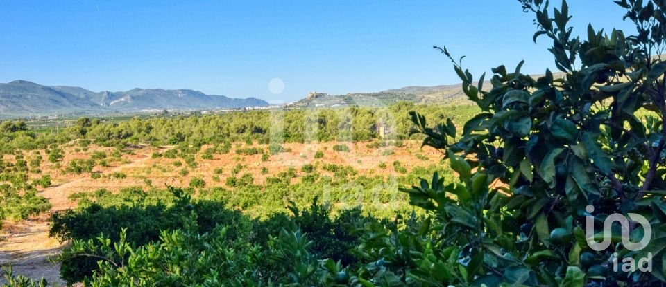 Terreno de 201.046 m² en L'Alcudia de Crespins (46690)