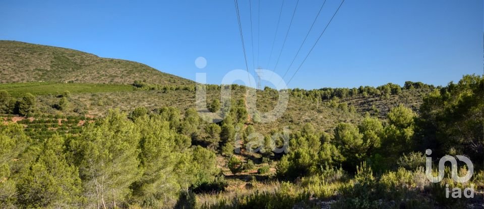 Terreno de 201.046 m² en L'Alcudia de Crespins (46690)