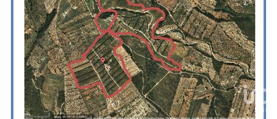 Land of 236,640 m² in Camarles (43894)