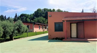 Casa 5 habitacions de 250 m² a Móra d'Ebre (43740)