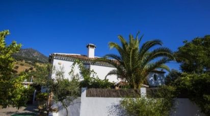 Land of 29,963 m² in Grazalema (11610)