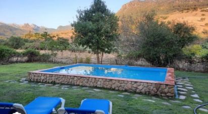 Land of 29,963 m² in Grazalema (11610)