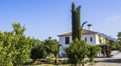 Land of 29,963 m² in Grazalema (11610)