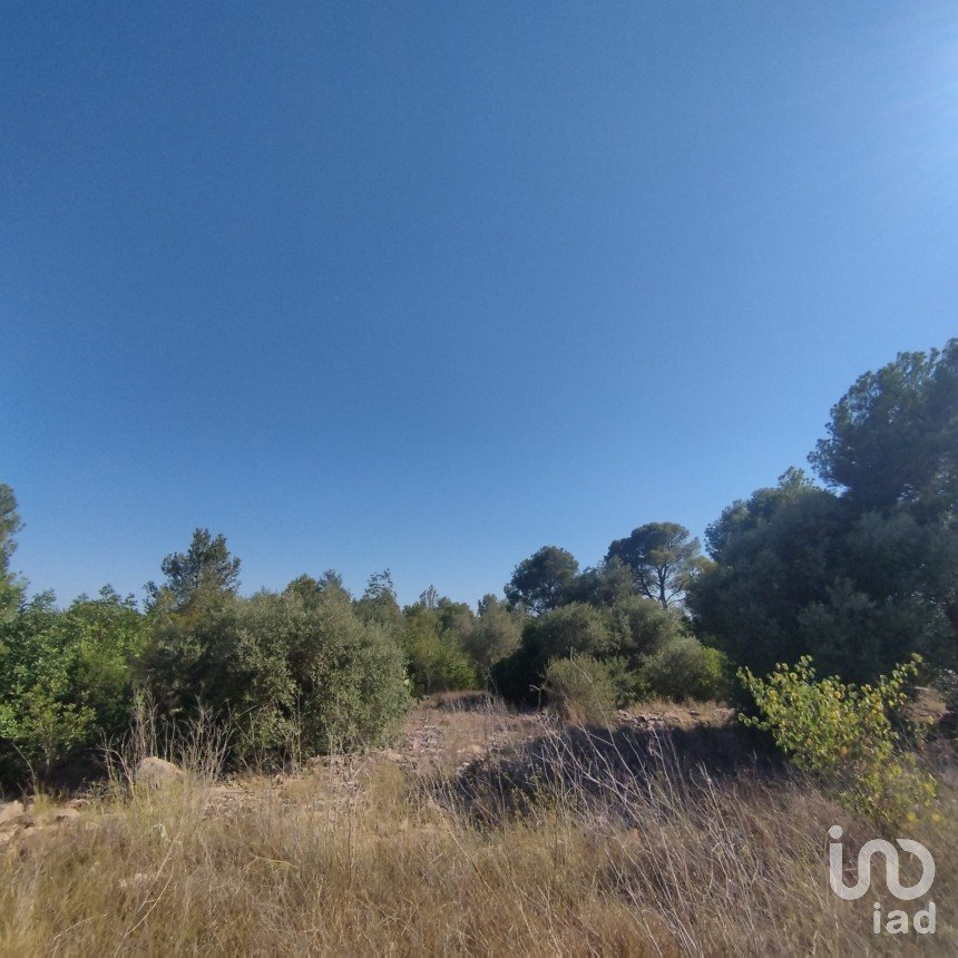 Land of 845 m² in Roquetes (43520)