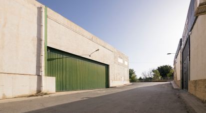 Boutique/Local commercial de 3 709 m² à Granada (18006)
