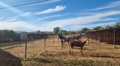 Casa rústica 6 habitaciones de 176 m² en Vinyols i els Arcs (43391)
