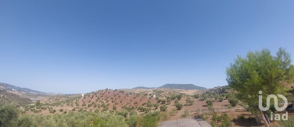 Land of 45,000 m² in El Gastor (11687)
