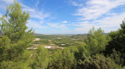 Land of 12,500 m² in Urbanitzacio Montecorona (46729)