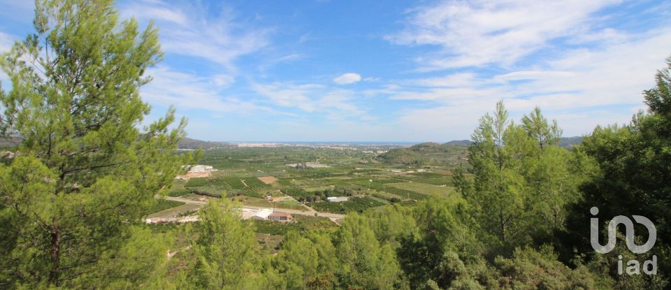 Terrain de 12 500 m² à Urbanitzacio Montecorona (46729)