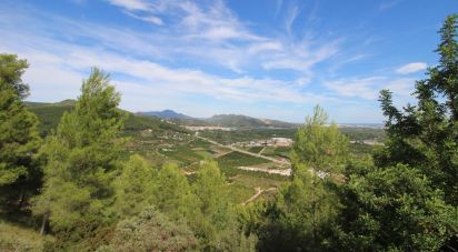 Land of 12,500 m² in Urbanitzacio Montecorona (46729)